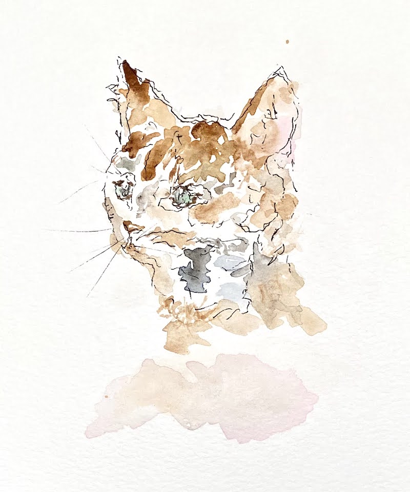 Cat Watercolor & Ink on Paper